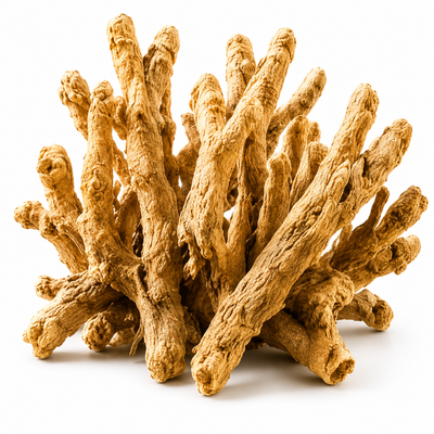 White Musli